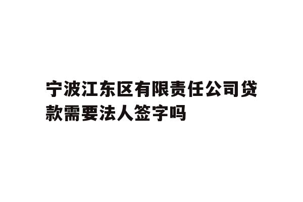 宁波江东区有限责任公司贷款需要法人签字吗