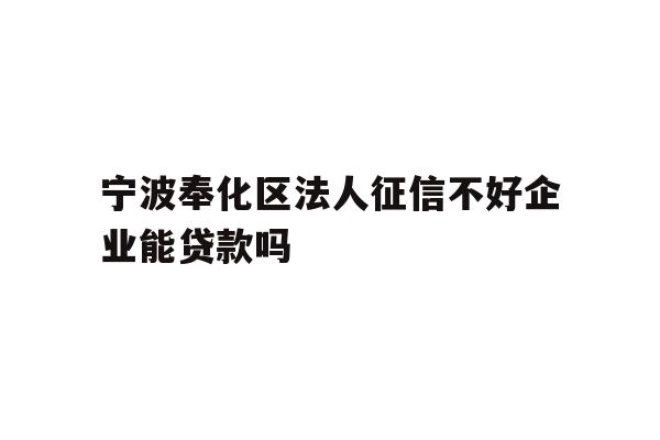 宁波奉化区法人征信不好企业能贷款吗
