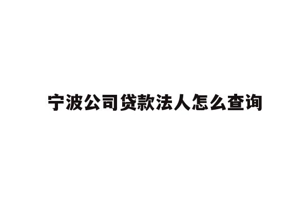 宁波公司贷款法人怎么查询