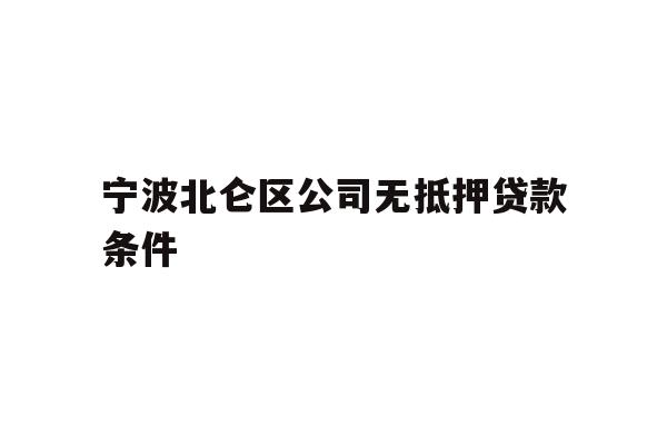 宁波北仑区公司无抵押贷款条件