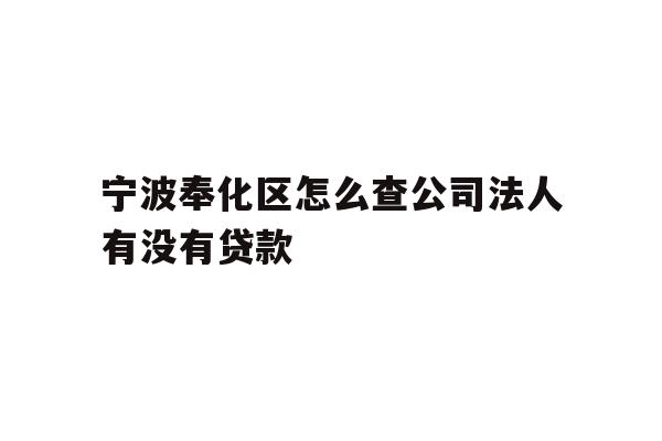 详细阅读:宁波奉化区怎么查公司法人有没有贷款 宁波奉化区怎么查公司法人有没有贷款