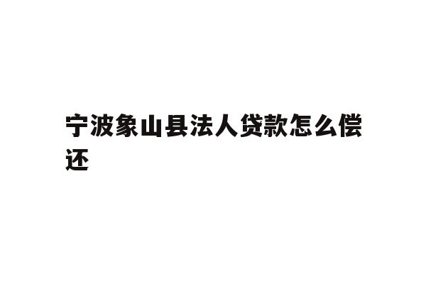 详细阅读:宁波象山县法人贷款怎么偿还 宁波象山县法人贷款怎么偿还