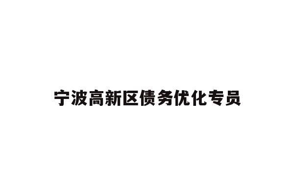 详细阅读:宁波高新区债务优化专员 宁波高新区债务优化专员