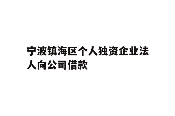 详细阅读:宁波镇海区个人独资企业法人向公司借款 宁波镇海区个人独资企业法人向公司借款