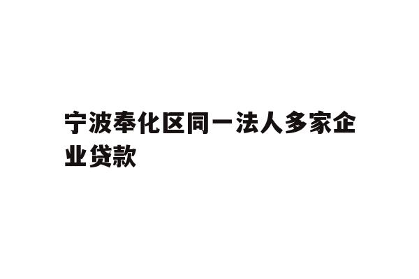 详细阅读:宁波奉化区同一法人多家企业贷款 宁波奉化区同一法人多家企业贷款