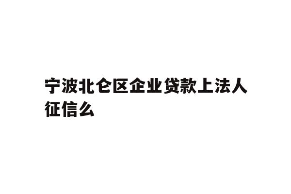 宁波北仑区企业贷款上法人征信么