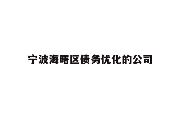 宁波海曙区债务优化的公司