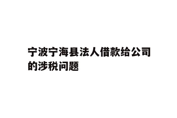 详细阅读:宁波宁海县法人借款给公司的涉税问题 宁波宁海县法人借款给公司的涉税问题