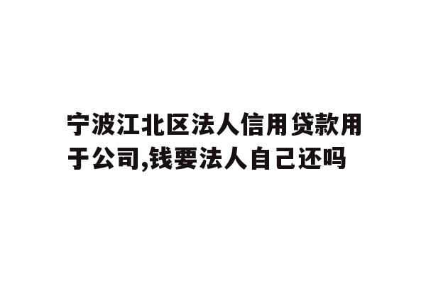 宁波江北区法人信用贷款用于公司,钱要法人自己还吗