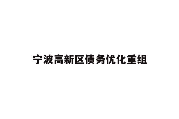 宁波高新区债务优化重组