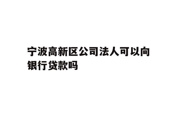 宁波高新区公司法人可以向银行贷款吗