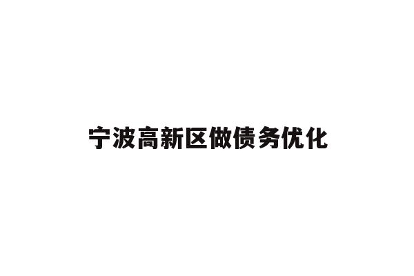 宁波高新区做债务优化