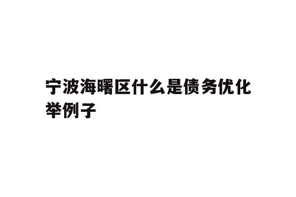 宁波海曙区什么是债务优化举例子