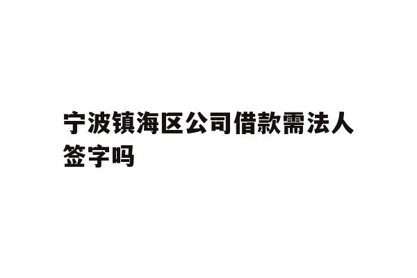 宁波镇海区公司借款需法人签字吗