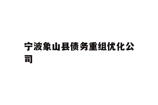 宁波象山县债务重组优化公司