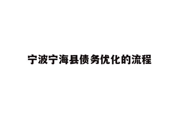 宁波宁海县债务优化的流程