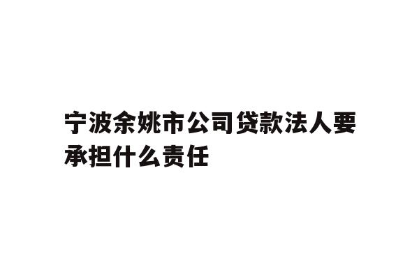 宁波余姚市公司贷款法人要承担什么责任