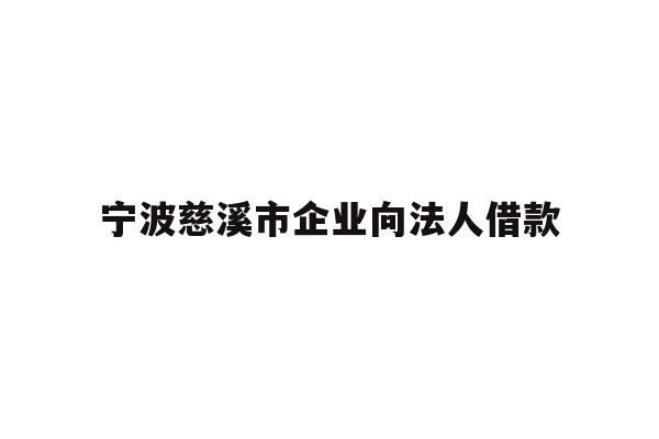 宁波慈溪市企业向法人借款