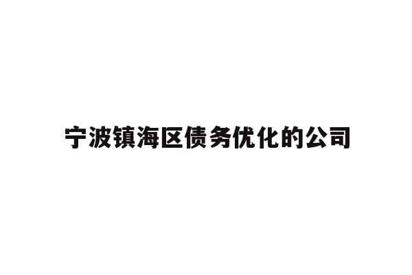 宁波镇海区债务优化的公司
