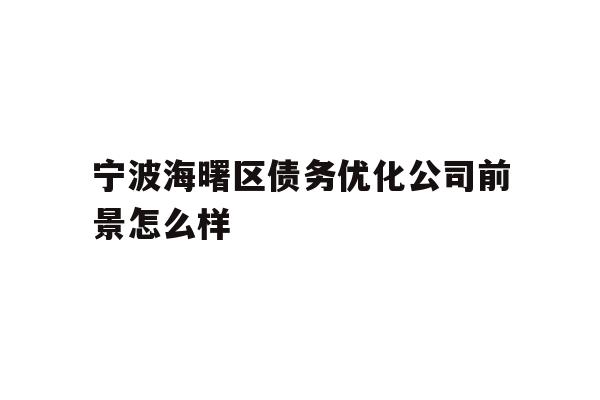 宁波海曙区债务优化公司前景怎么样