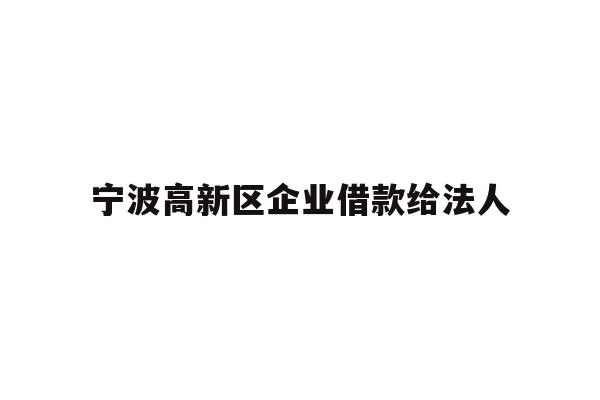 宁波高新区企业借款给法人