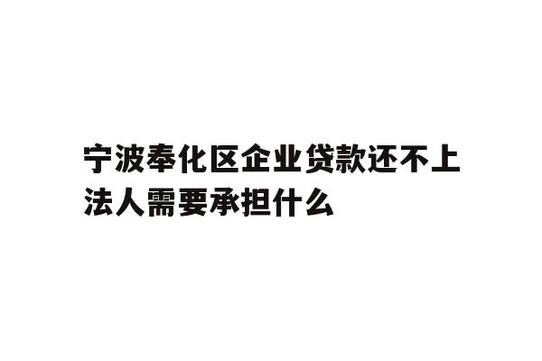 详细阅读:宁波奉化区企业贷款还不上法人需要承担什么 宁波奉化区企业贷款还不上法人需要承担什么