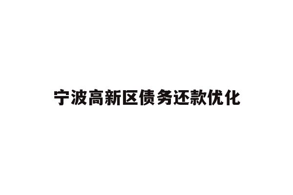 详细阅读:宁波高新区债务还款优化 宁波高新区债务还款优化