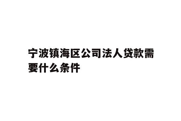 宁波镇海区公司法人贷款需要什么条件