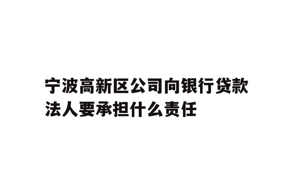 详细阅读:宁波高新区公司向银行贷款法人要承担什么责任 宁波高新区公司向银行贷款法人要承担什么责任