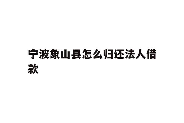 宁波象山县怎么归还法人借款