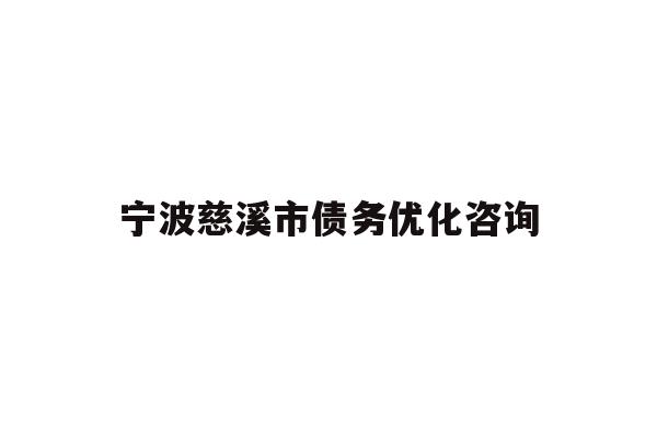 宁波慈溪市债务优化咨询