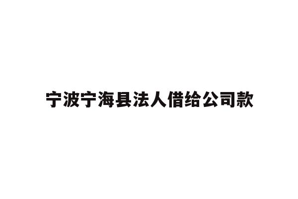 详细阅读:宁波宁海县法人借给公司款 宁波宁海县法人借给公司款