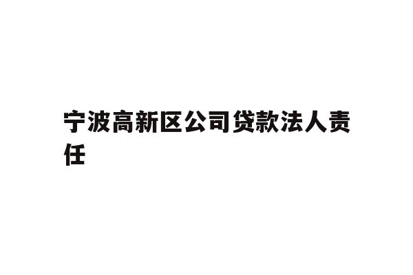 详细阅读:宁波高新区公司贷款法人责任 宁波高新区公司贷款法人责任