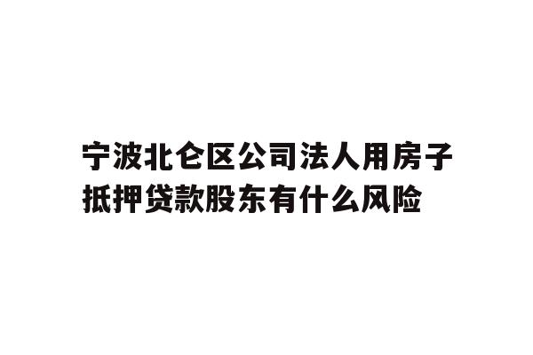 宁波北仑区公司法人用房子抵押贷款股东有什么风险