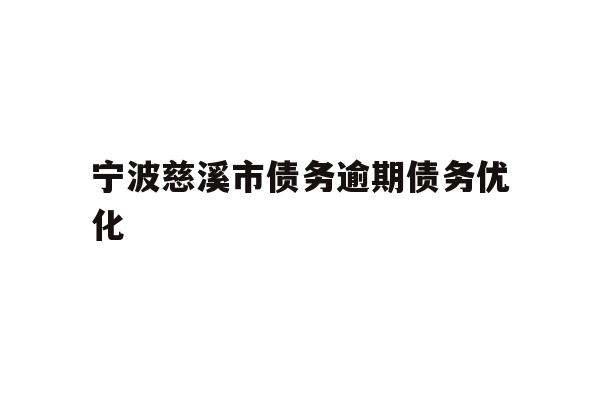 宁波慈溪市债务逾期债务优化