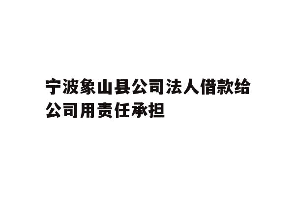 宁波象山县公司法人借款给公司用责任承担