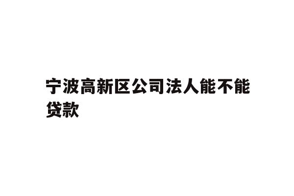 宁波高新区公司法人能不能贷款