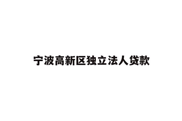 宁波高新区独立法人贷款