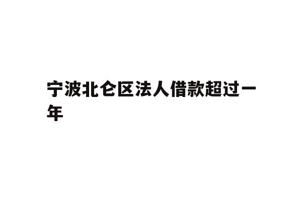 宁波北仑区法人借款超过一年