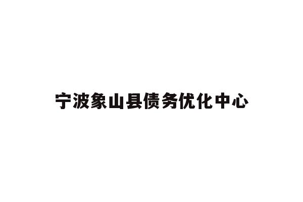 宁波象山县债务优化中心