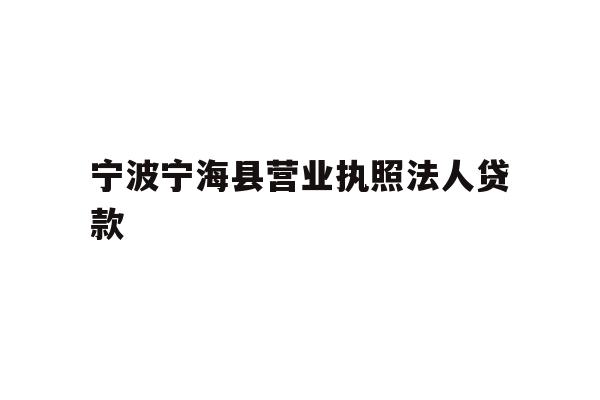 宁波宁海县营业执照法人贷款