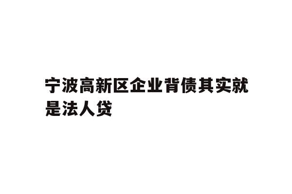 详细阅读:宁波高新区企业背债其实就是法人贷 宁波高新区企业背债其实就是法人贷