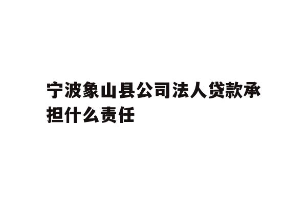 详细阅读:宁波象山县公司法人贷款承担什么责任 宁波象山县公司法人贷款承担什么责任