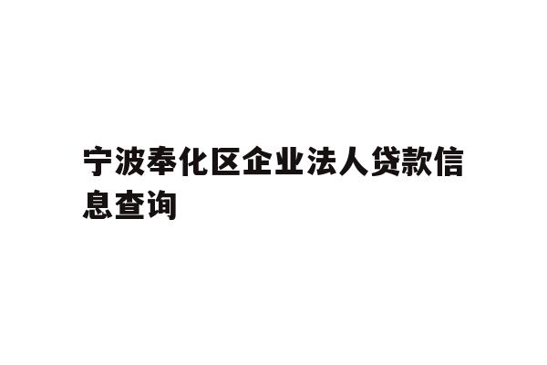 详细阅读:宁波奉化区企业法人贷款信息查询 宁波奉化区企业法人贷款信息查询