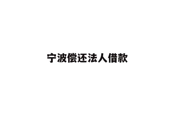 详细阅读:宁波偿还法人借款 宁波偿还法人借款