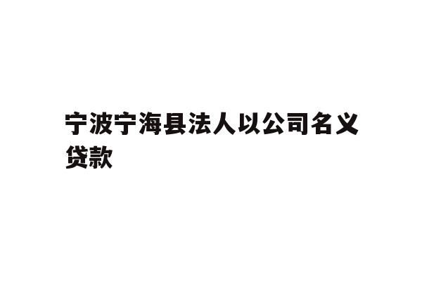 宁波宁海县法人以公司名义贷款