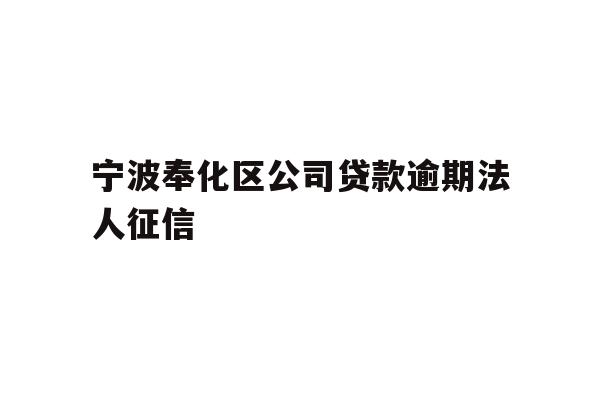 宁波奉化区公司贷款逾期法人征信