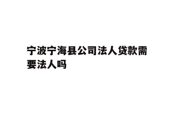 宁波宁海县公司法人贷款需要法人吗
