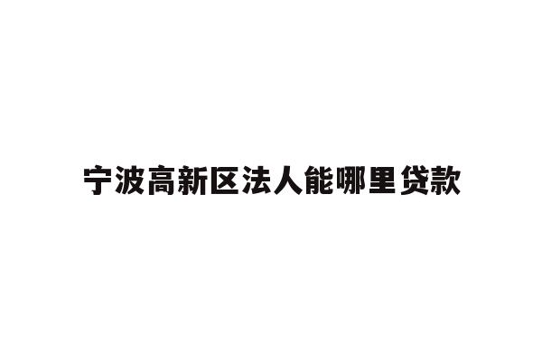 宁波高新区法人能哪里贷款