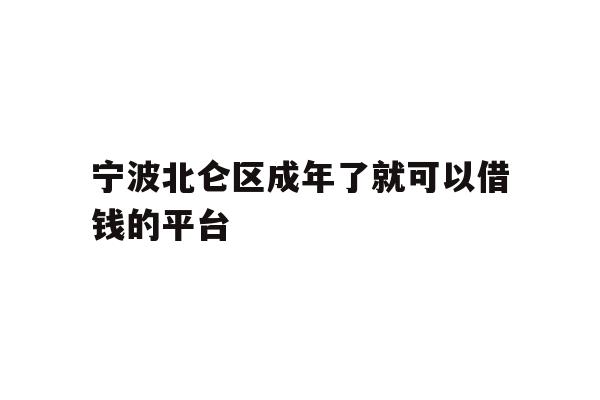 宁波北仑区成年了就可以借钱的平台